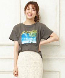 INGNI(イング)/NK天竺ビーチフォトTシャツ                       /チャコールグレー