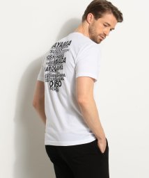 JAMES PERSE/【日本限定】ビーチグラフィックＴシャツ MLJ3311JE/502046148