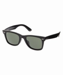 JOURNAL STANDARD(ジャーナルスタンダード)/【Ray Ban/レイバン】  WAYFARER/ブラック