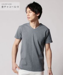 THE CASUAL/(バイヤーズセレクト)Buyer's Select スパンテレコ半袖Vネック/クルーネックカットソー/502288692