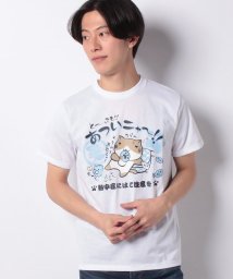 MARUKAWA(マルカワ)/ねこぶちさん プリント 半袖Tシャツ/柄5