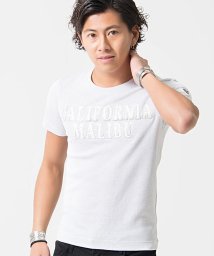 VIOLA(ヴィオラ)/VIOLA【ヴィオラ】ロゴ貼り付けクルーネック半袖Tシャツ/オフホワイト