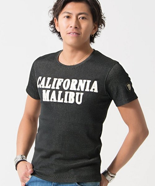 VIOLA(ヴィオラ)/VIOLA【ヴィオラ】ロゴ貼り付けクルーネック半袖Tシャツ/ブラック