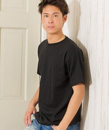 CavariA/CavariA【キャバリア】ネックが選べるスパンテレコ半袖Tシャツ/502317575