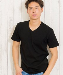 CavariA(キャバリア)/CavariA【キャバリア】ネックが選べるスパンテレコ半袖Tシャツ/ブラック