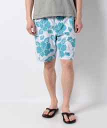 Ocean Pacific MENS(オーシャンパシフィック　メンズ)/メンズ トランクス/ターコイズ