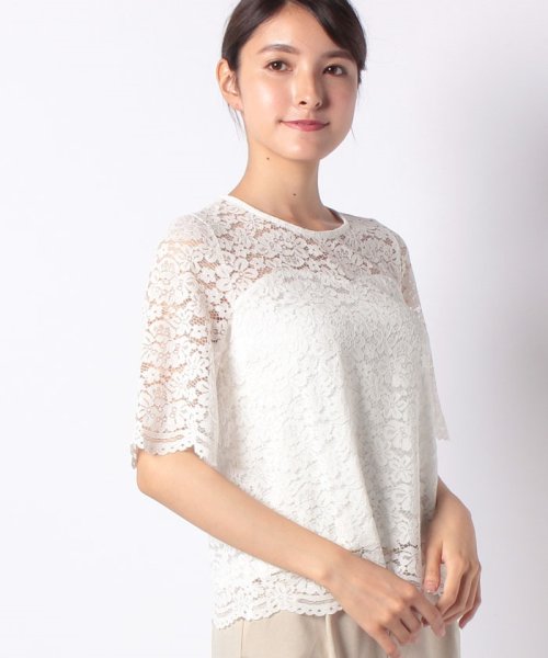 セール 総レース半袖ブラウス エイミーパール バイ パウダーシュガー Eimy Peal By Powder Sugar Magaseek