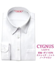 YAMAKI BRAND/CYGNUS 長袖 レギュラーカラーショートカラー ブラウス/502476290