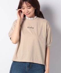 INGNI(イング)/襟レースボリューム袖Tシャツ                 /ベージュ