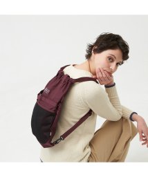 ＡＩＧＬＥ UNISEX(エーグル　ユニセックス)/NYLON 2WAY KNAPSACK/ワイン