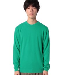 BENETTON (mens)(ベネトン（メンズ）)/ラムウールクルーネックニット・セーター/グリーン