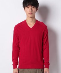 BENETTON (mens)(ベネトン（メンズ）)/Vネックニット・セーター/レッド