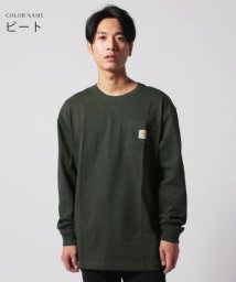 THE CASUAL(ザ　カジュアル)/(カーハート)carhartt M Workwear Pocket LS T Shirt/その他系2