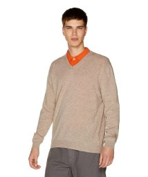 BENETTON (mens)(ベネトン（メンズ）)/ラムウールVネックニット・セーター/ベージュ