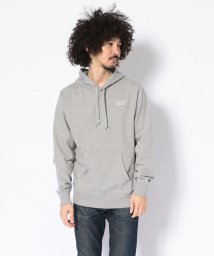 AVIREX(AVIREX)/【WEB限定】スモールボックスロゴ プルオーバー パーカー/ SMALL BOX LOGO PULL OVER PARKA/OXFORD