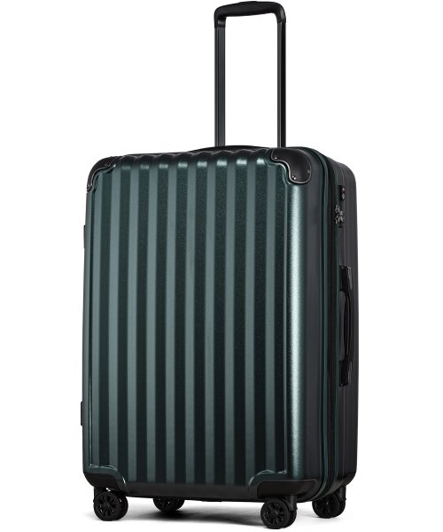 タビバコ(tavivako) |【JP－Design】スーツケース LLサイズ 静音8輪キャスター 軽量 大容量 拡張 TSAロック 受託手荷物無料 キャリーバッグ  キャリーケース?(501476900) MAGASEEK