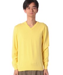 BENETTON (mens)(ベネトン（メンズ）)/コットンVネックニット・セーター/イエロー