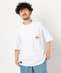 GLOSTER(GLOSTER)/【Web限定】【PENDLETON/ペンドルトン】刺しゅう ビッグシルエット Tシャツ/ホワイト