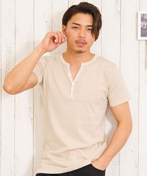 CavariA(キャバリア)/CavariA【キャバリア】ピグメント加工半袖Tシャツ/ベージュ系1