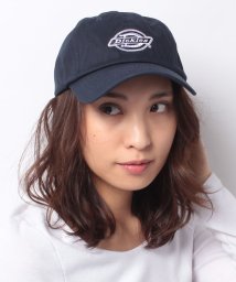 Dickies(Dickies)/DICKIES刺繍LOWCAP/ﾈｲﾋﾞｰ