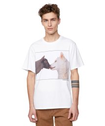 BENETTON (mens)(ベネトン（メンズ）)/アーカイブ半袖Tシャツ・カットソー/ホワイト系