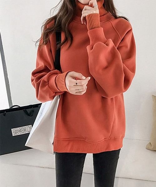 クーポン セール 25 Off Tシャツ スウェット プルオーバー トレーナー レディース トップス 長袖 ハイネック カットソー 裏起毛 重ね着風 セイヘイショップ Seiheishop Magaseek