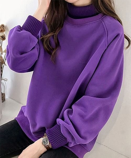 セール Tシャツ スウェット プルオーバー トレーナー レディース トップス 長袖 ハイネック カットソー 裏起毛 重ね着風 セイヘイショップ Seiheishop Magaseek セール Tシャツ スウェット プルオーバー トレーナー レディース トップス 長袖 ハイネック カットソー 裏起毛 重ね着風 セイヘイショップ Seiheishop Magaseek
