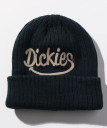Dickies(Dickies)/Knit Cap－Smilegive/ﾈｲﾋﾞｰ