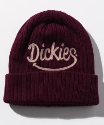 Dickies(Dickies)/Knit Cap－Smilegive/ﾜｲﾝ