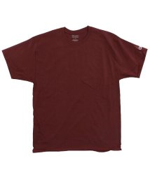 BACKYARD FAMILY(バックヤードファミリー)/Champion チャンピオン T525C Adult 6oz Shor Sleeve Tee/その他