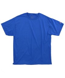 BACKYARD FAMILY(バックヤードファミリー)/Champion チャンピオン T525C Adult 6oz Shor Sleeve Tee/ライトブルー