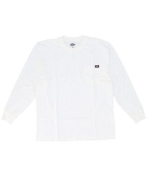 BACKYARD FAMILY(バックヤードファミリー)/Dickies ディッキーズ WL450 LS HEAVYWEIGHT CREW NECK/オレンジ