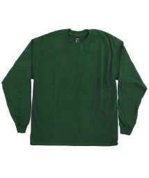 BACKYARD FAMILY(バックヤードファミリー)/Hanes ヘインズ 5186 Adult 6.1oz Long Sleeve Beefy T/その他系2