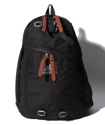 GREGORY/【Gregory】Day Pack/502938815