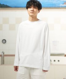 URBAN RESEARCH(アーバンリサーチ)/URBAN SENTO×HAAG　CREW－NECK LONG－SLEEVE CUT AND SEW/WHITE