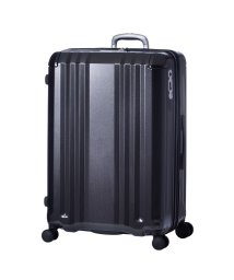 プロテカ スヌーピー スーツケース 機内持ち込み Sサイズ 36l ストッパー ココナ ピーナッツ Proteca プロテカ Proteca Magaseek