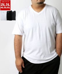 MARUKAWA(大きいサイズのマルカワ)/大きいサイズ 無地 パックT Vネック 半袖Tシャツ/ホワイト