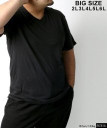 MARUKAWA(大きいサイズのマルカワ)/大きいサイズ 無地 パックT Vネック 半袖Tシャツ/ブラック