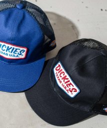 Dickies(Dickies)/HEXAGON WAPPEN MESH CAP/ﾌﾞﾗｯｸ