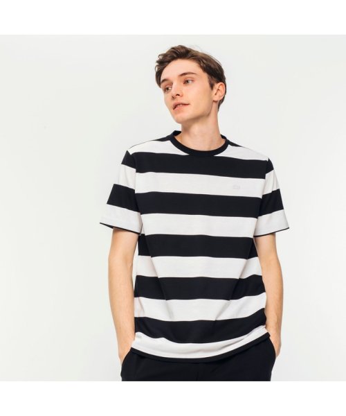 LACOSTE Mens(ラコステ　メンズ)/ビックボーダーTシャツ/ブラック