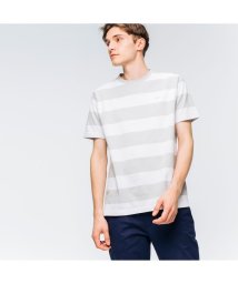 LACOSTE Mens(ラコステ　メンズ)/ビックボーダーTシャツ/ライトグレー