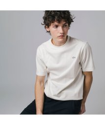 LACOSTE Mens(ラコステ　メンズ)/ボディーサイズピグメントTシャツ/ホワイト