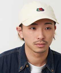 FRUIT OF THE LOOM(フルーツオブザルーム)/LINEN LOGO EMB LOW CAP/ﾎﾜｲﾄ