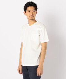 GLOSTER(GLOSTER)/【LOOP WHEEL】吊り編み天竺 VネックTシャツ/ホワイト