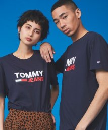 TOMMY JEANS(トミージーンズ)/【オンライン限定】ロゴTシャツ/ネイビー 