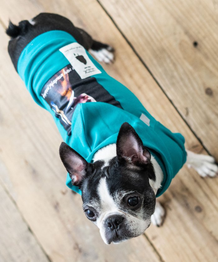 犬用ペット服 雪玉 ペットの人気商品 通販 価格比較 価格 Com