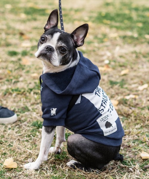 Rocky Monroe(ロッキーモンロー)/ドッグウェア 犬服 ペット プルオーバーパーカー ペーパーハンガー付き プリント ロゴ ボックス リフレクター 反射材 愛犬 小型犬 中型 フレンチブルドッグ /ネイビー系1