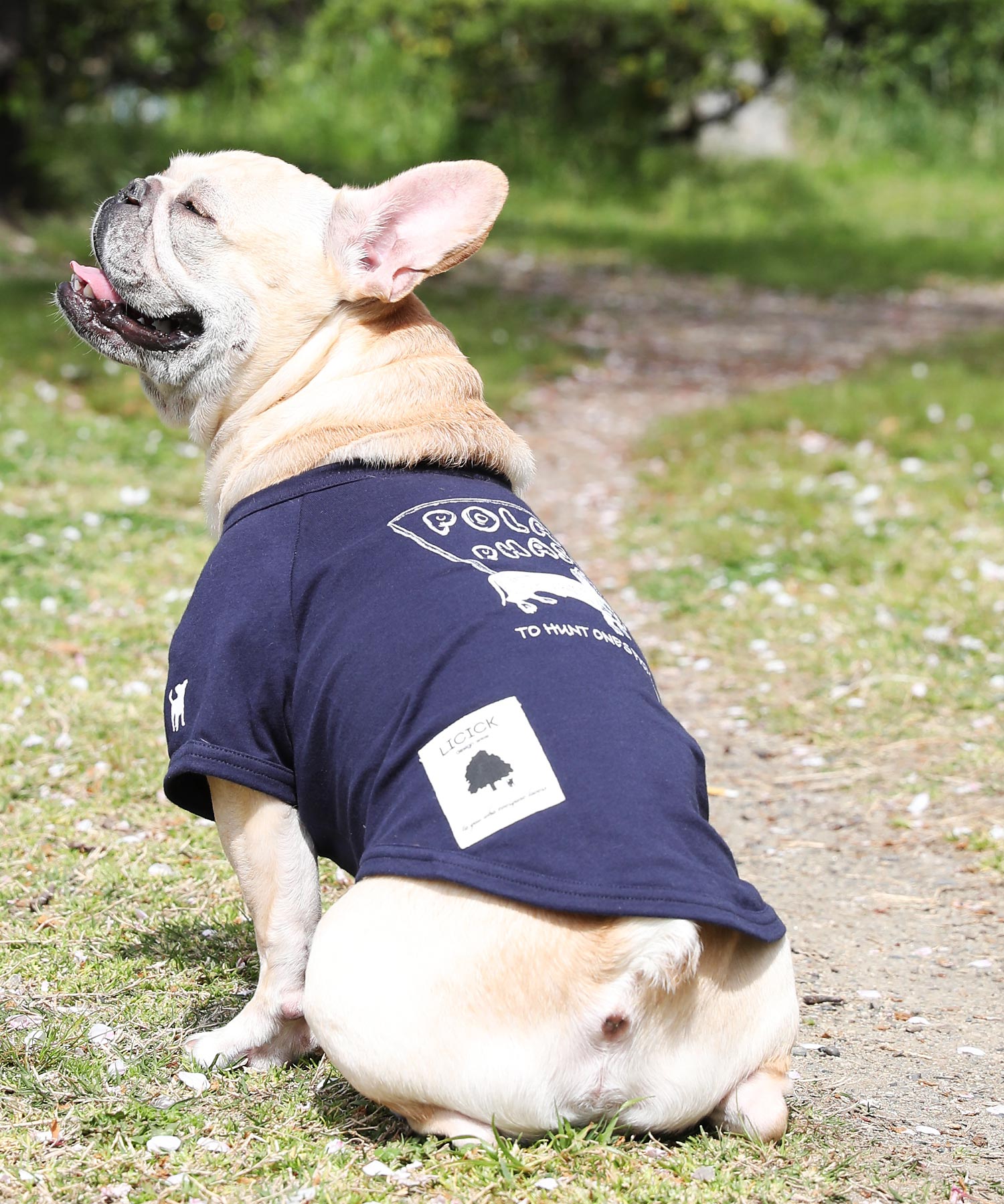 ペット LICICK オリジナルハンガー付き犬用プリントTシャツ 人気デザイナー