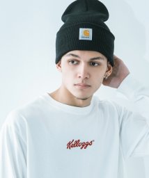 Rocky Monroe(ロッキーモンロー)/CARHARTT カーハート A18 ワッチキャップ ニット帽 メンズ レディース ワッチハット ビーニー 帽子 通年 無地 ロゴ ストリート お揃い 防寒 あ/ブラック