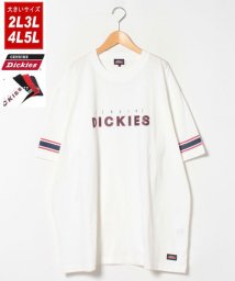 MARUKAWA(大きいサイズのマルカワ)/【GENUINE DICKIES】ジェニュインディッキーズ 大きいサイズ 袖ライン カレッジプリント 半袖Tシャツ/ホワイト